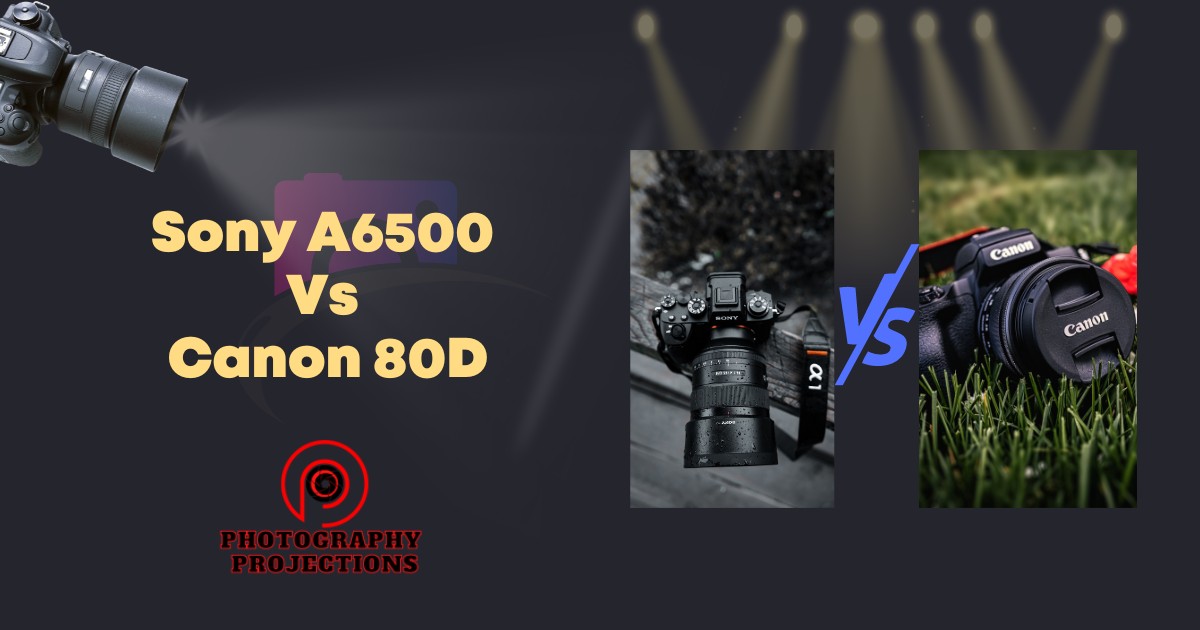 Sony A6500 Vs Canon 80D